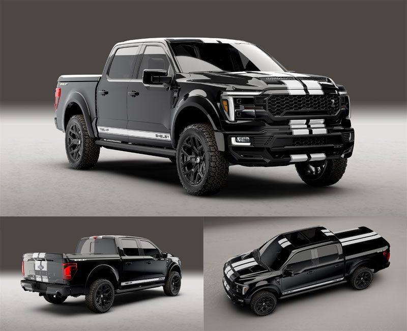 Shelby24f150-CS-6